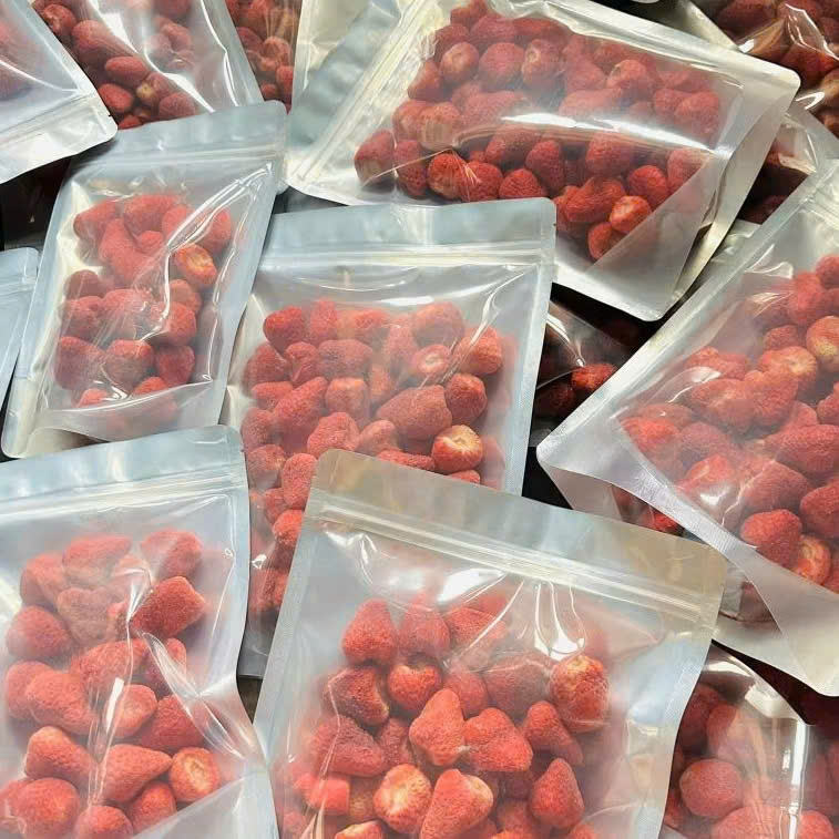 PREMIUM VIETNAMESE FREEZE-DRIED STRAWBERRY POWDER – FRUIT INGREDIENT FOR NUTRITION BARS, FOOD FORMULATIONS AND VACUUM PACKAGING 4
