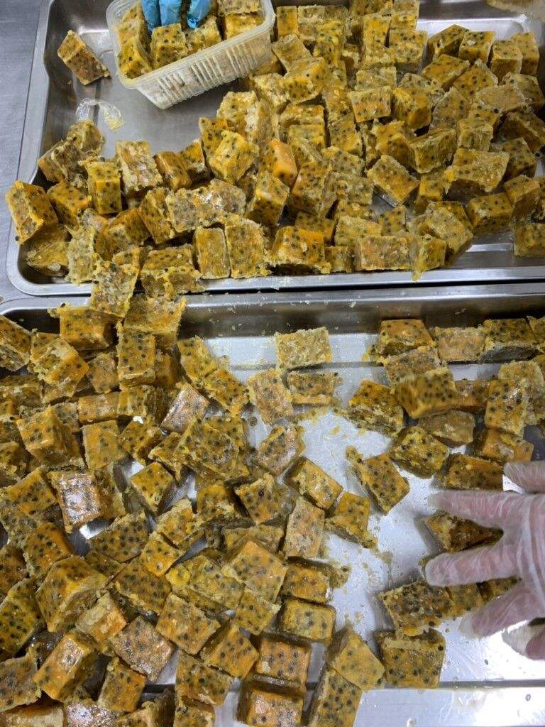 PREMIUM VIETNAMESE FROZEN PASSION FRUIT PULP, CONCENTRATE AND PUREE – WHOLESALE BULK SUPPLY, SEEDED OR SEEDLESS OPTIONS 2