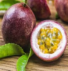 PREMIUM VIETNAMESE GRAFTED PASSION FRUIT PLANTS – YELLOW ROOTSTOCK WITH PURPLE SCION FOR WHOLESALE AGRICULTURAL SUPPLY