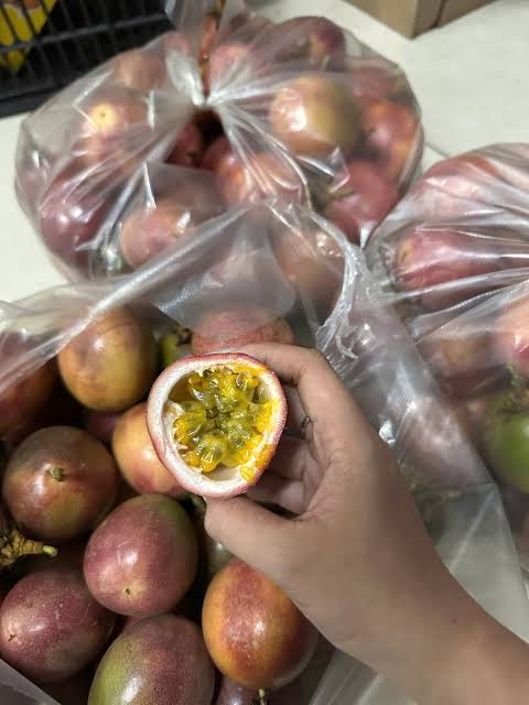 PREMIUM VIETNAMESE GRAFTED PASSION FRUIT PLANTS – YELLOW ROOTSTOCK WITH PURPLE SCION FOR WHOLESALE AGRICULTURAL SUPPLY 4