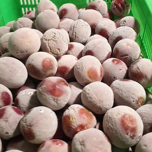 PREMIUM VIETNAMESE FROZEN PASSION FRUIT – BULK WHOLESALE SUPPLY FOR FOOD PROCESSING AND EXPORT 4