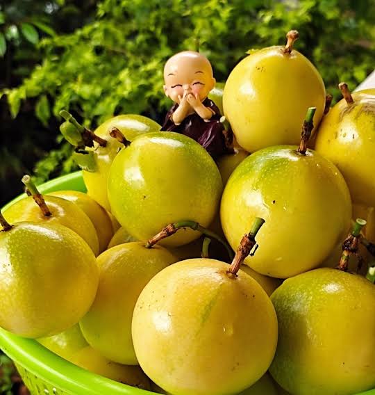 PREMIUM VIETNAMESE YELLOW PASSION FRUIT – FRESH TROPICAL FRUIT FOR WHOLESALE AND EXPORT