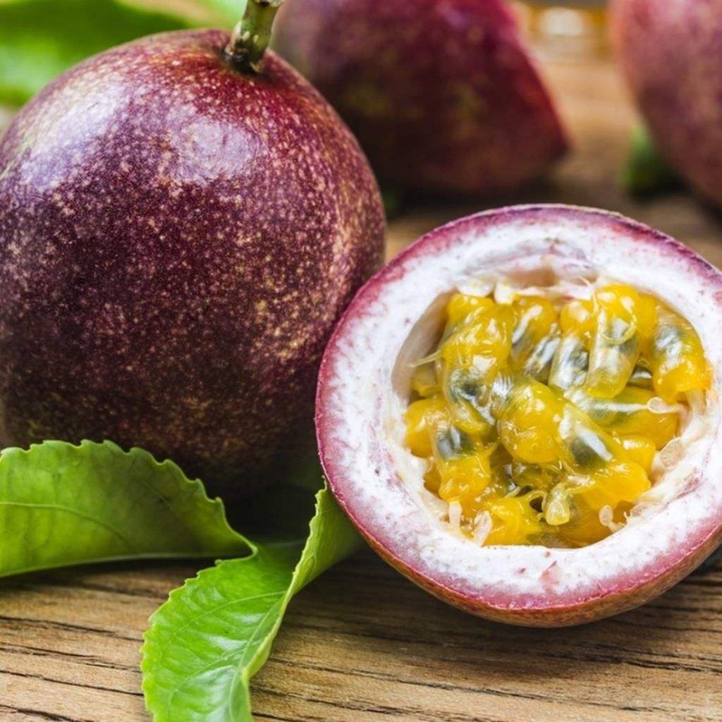 PREMIUM VIETNAMESE FRESH PASSION FRUIT – BULK EXPORT FROM VIETNAM, CARTON PACKAGING AND WHOLESALE SUPPLY