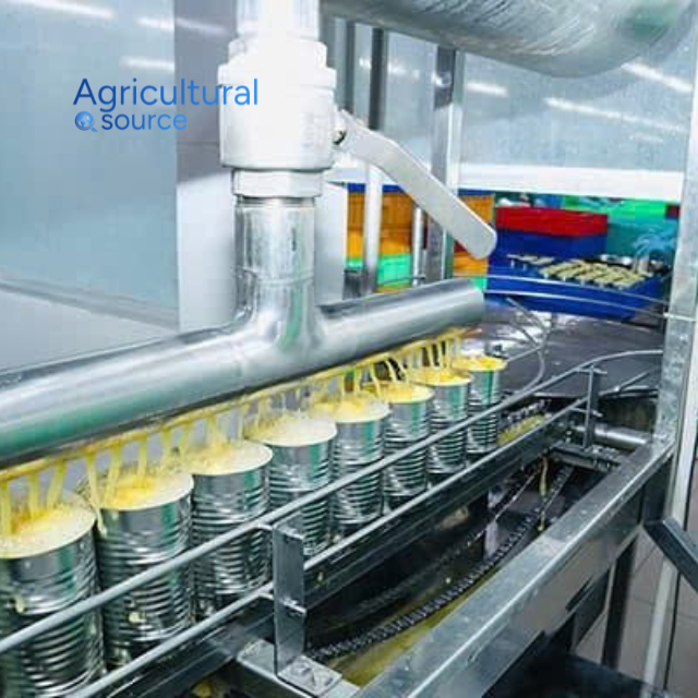 PREMIUM VIETNAMESE IQF FROZEN PASSION FRUIT – COMPETITIVE FACTORY-DIRECT WHOLESALE PRICING FOR GLOBAL EXPORT MARKETS 3