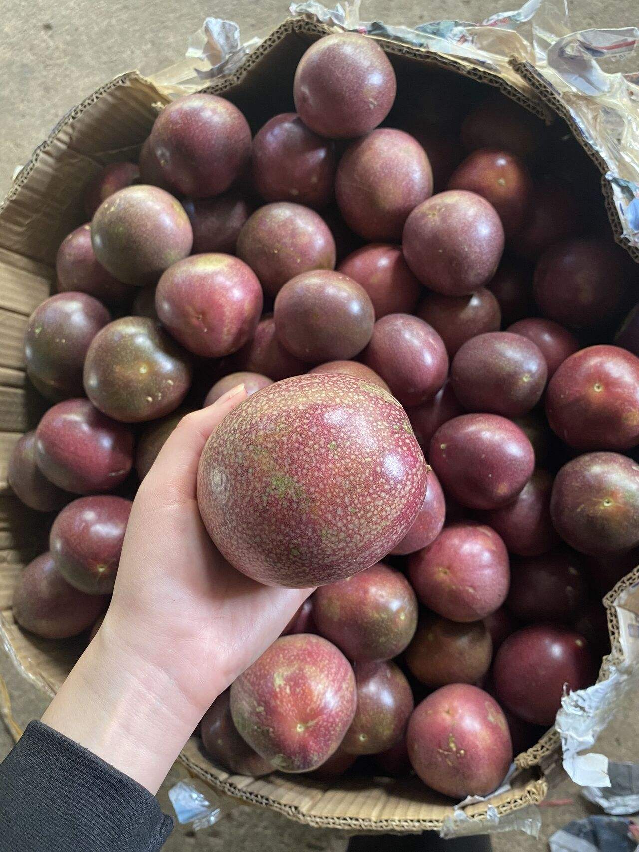 PREMIUM VIETNAMESE FRESH PASSION FRUIT – BULK EXPORT CARTON PACKAGING, WHOLESALE SUPPLY AND COMPETITIVE PRICING 2