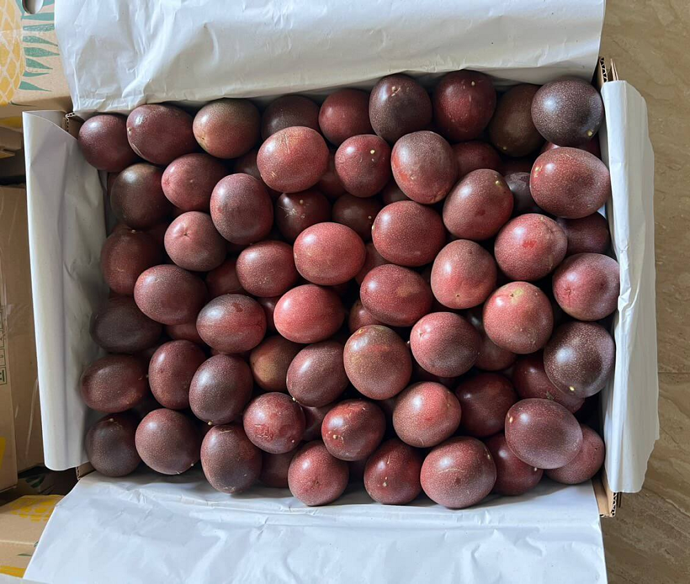 PREMIUM VIETNAMESE FRESH PASSION FRUIT – BULK EXPORT CARTON PACKAGING, WHOLESALE SUPPLY AND COMPETITIVE PRICING 3