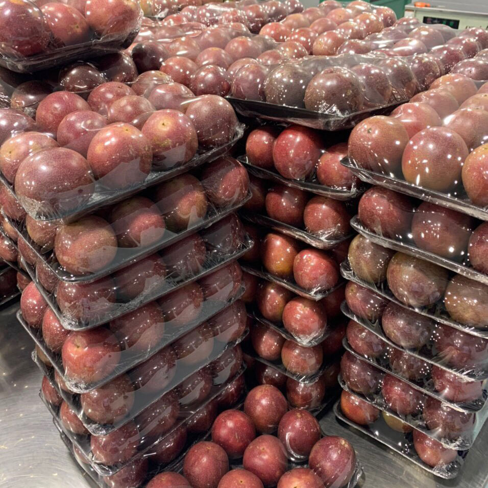 PREMIUM VIETNAMESE FRESH ORGANIC PASSION FRUIT – 10KG EXPORT CARTONS, WHOLESALE SUPPLY AND INTERNATIONAL DELIVERY 2