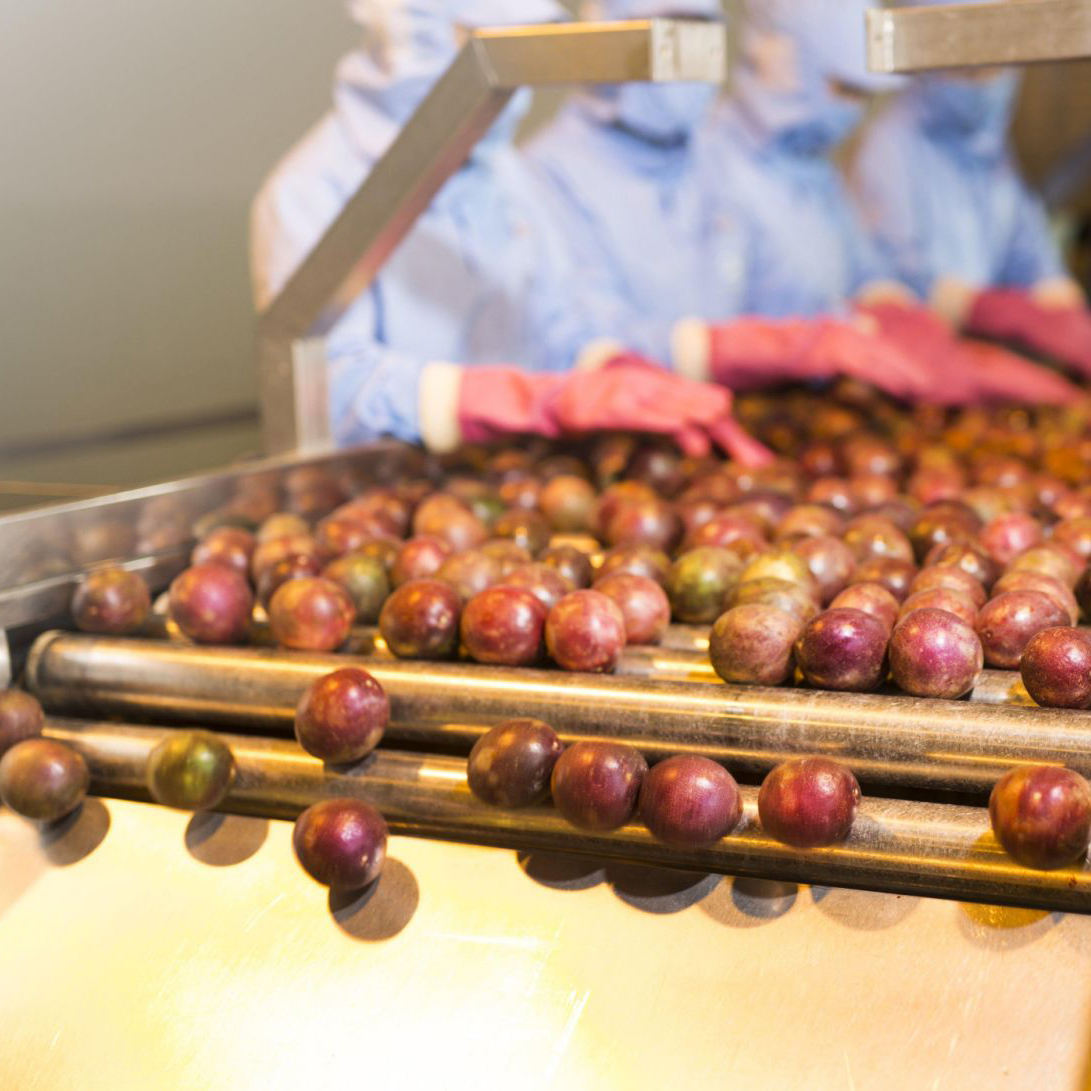 PREMIUM VIETNAMESE FRESH ORGANIC PASSION FRUIT – 10KG EXPORT CARTONS, WHOLESALE SUPPLY AND INTERNATIONAL DELIVERY 3