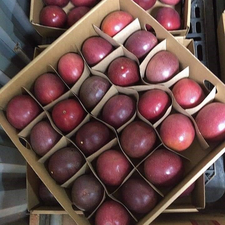 PREMIUM VIETNAMESE RIPE PASSION FRUIT – 7KG TROPICAL EXPORT CARTONS, WHOLESALE FRESH FRUIT SUPPLY