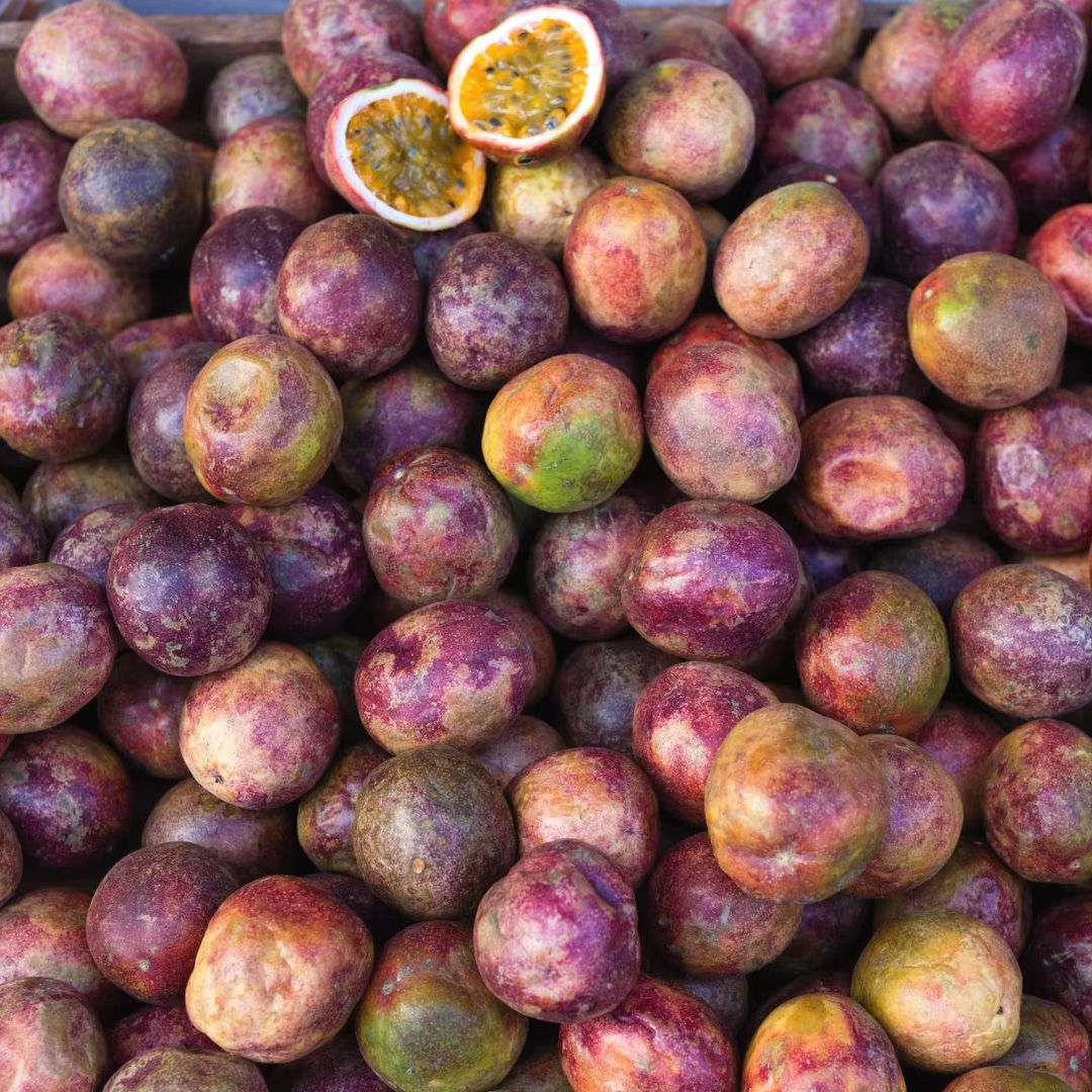 PREMIUM VIETNAMESE DRIED PASSION FRUIT – HIGH QUALITY, ORGANIC SOURCING OPTIONS AND COMPETITIVE WHOLESALE EXPORT 3