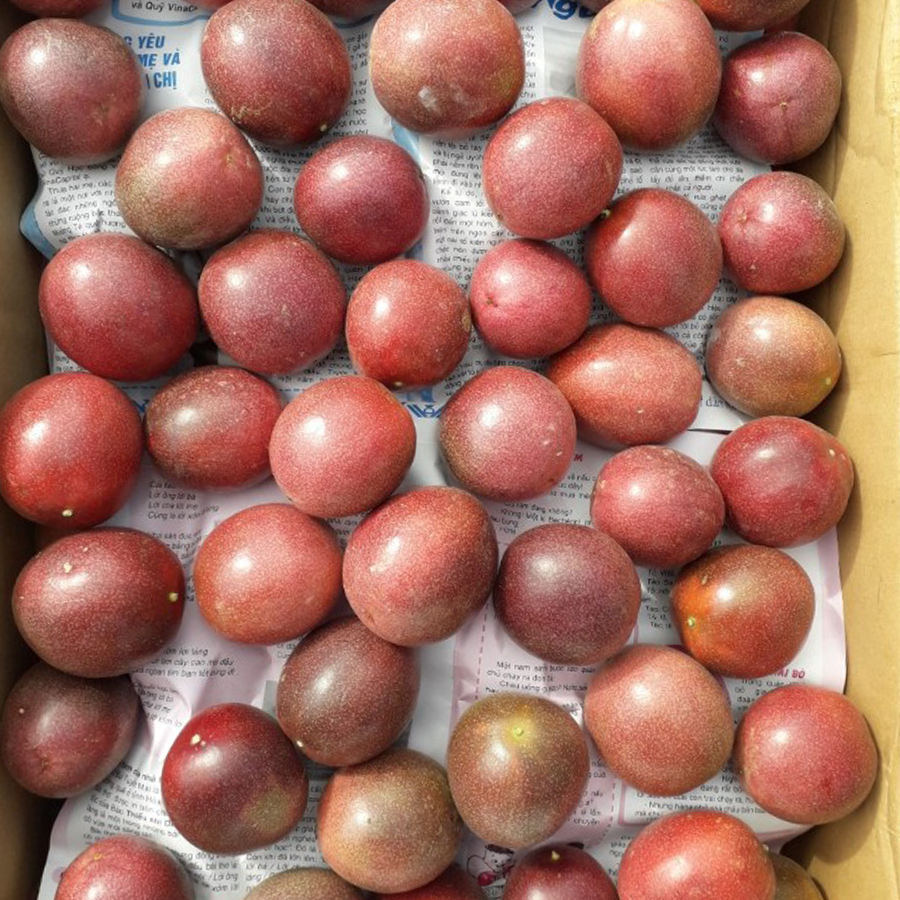 PREMIUM VIETNAMESE DRIED PASSION FRUIT – HIGH QUALITY, ORGANIC SOURCING OPTIONS AND COMPETITIVE WHOLESALE EXPORT 4