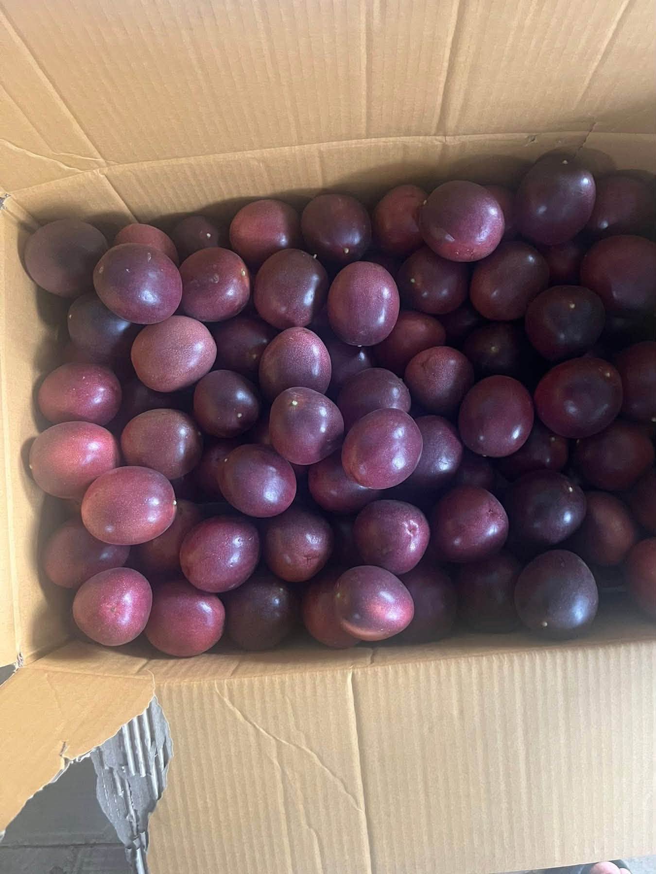 PREMIUM VIETNAMESE FRESH ORGANIC PASSION FRUIT – WHOLESALE SUPPLY, 100% FRESH FRUIT AND INTERNATIONAL EXPORT 4