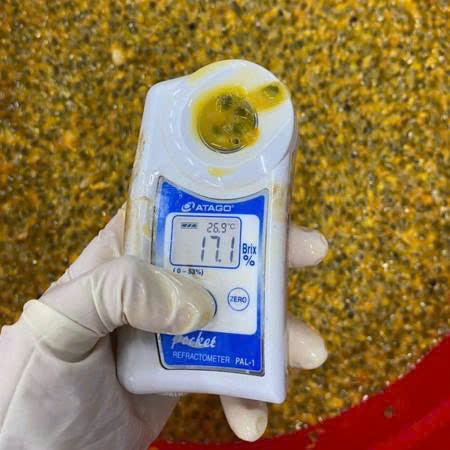 PREMIUM VIETNAMESE ORGANIC FROZEN PASSION FRUIT – IQF TROPICAL FRUIT, NATURALLY SWEET FLAVOR AND BULK EXPORT SUPPLY