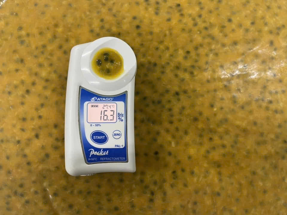 PREMIUM VIETNAMESE ORGANIC FROZEN PASSION FRUIT – IQF TROPICAL FRUIT, NATURALLY SWEET FLAVOR AND BULK EXPORT SUPPLY 4