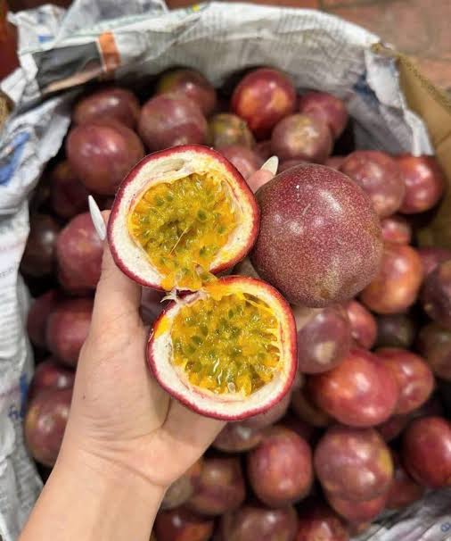 PREMIUM VIETNAMESE TAIWANESE PURPLE PASSION FRUIT FROM DA LAT – FRESH TROPICAL FRUIT FOR WHOLESALE AND EXPORT 4