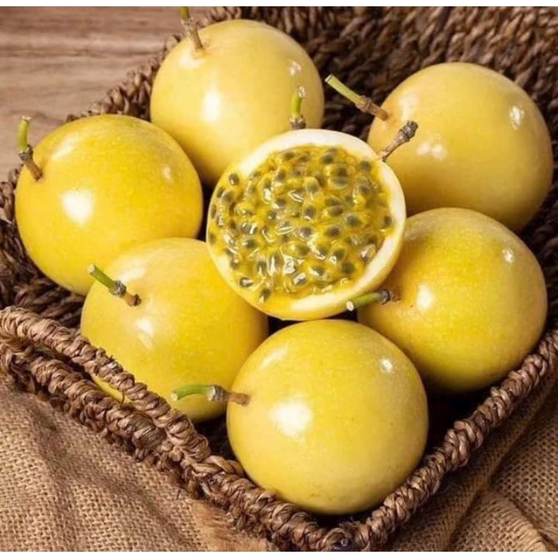 PREMIUM VIETNAMESE SWEET YELLOW PASSION FRUIT – FRESH TROPICAL FRUIT FOR WHOLESALE AND EXPORT SUPPLY 4