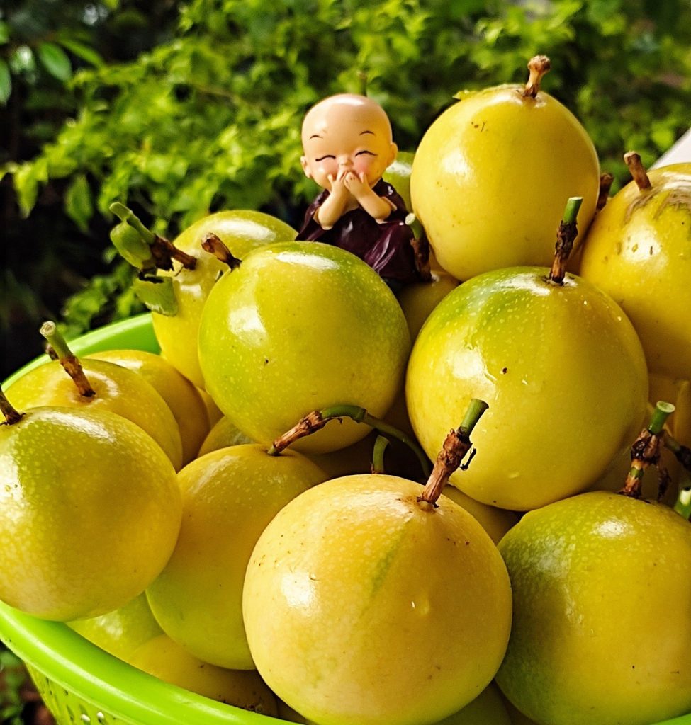 PREMIUM VIETNAMESE PASSION FRUIT – 10KG PACKING, TCVN COMPLIANCE SUBJECT TO VERIFICATION, COMPETITIVE WHOLESALE PRICES FROM VIETNAM MANUFACTURERS