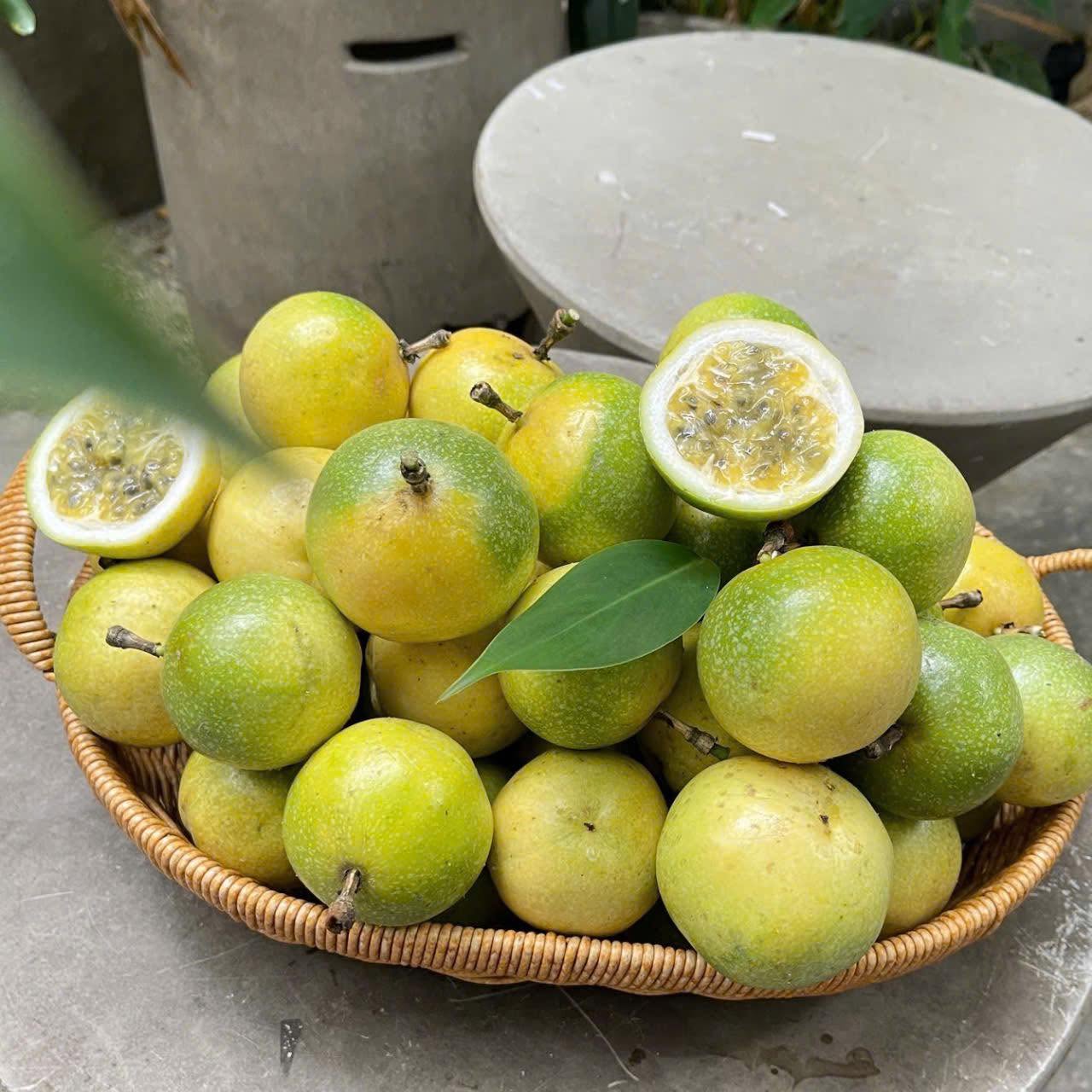 PREMIUM VIETNAMESE PASSION FRUIT JUICE DRINK 500ML CAN – PRIVATE LABEL OEM/ODM, CUSTOM DESIGN, LOW MOQ AND FREE SAMPLE OPTIONS 3