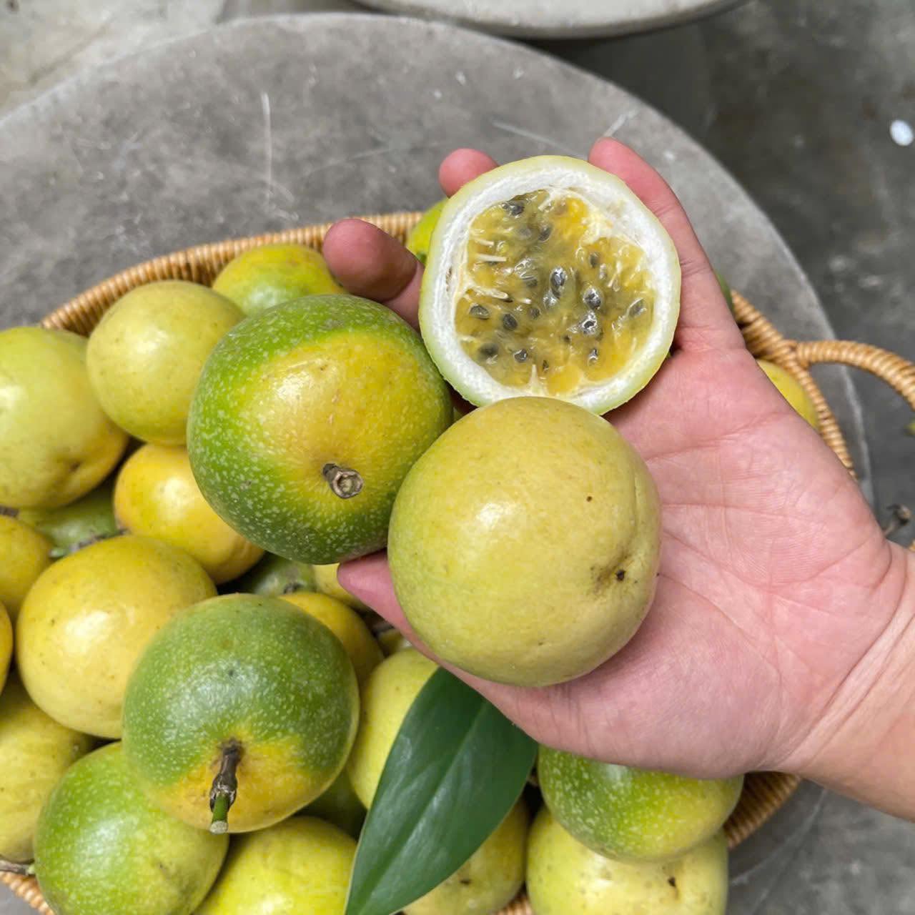 PREMIUM VIETNAMESE PASSION FRUIT JUICE DRINK 500ML CAN – PRIVATE LABEL OEM/ODM, CUSTOM DESIGN, LOW MOQ AND FREE SAMPLE OPTIONS 4